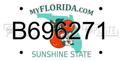 B696271 Florida License Plate