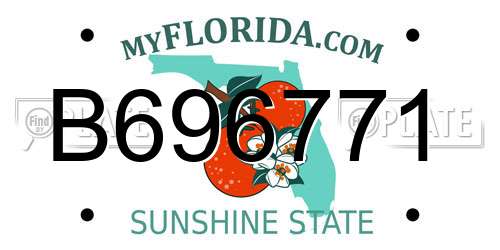 B696771 Florida License Plate