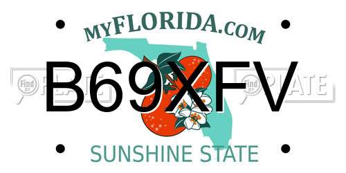 B69XFV Florida License Plate