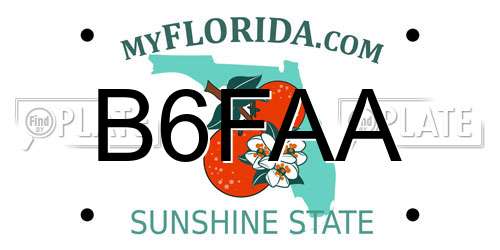 B6FAA Florida License Plate