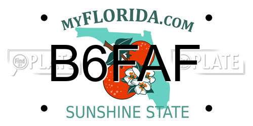 B6FAF Florida License Plate