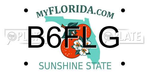 B6FLG Florida License Plate