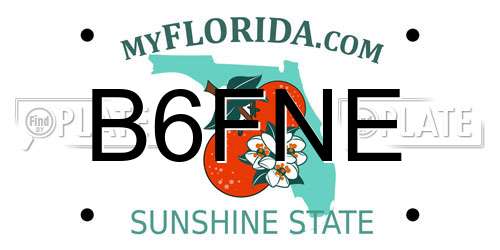 B6FNE Florida License Plate
