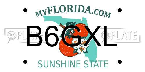 B6GXL Florida License Plate