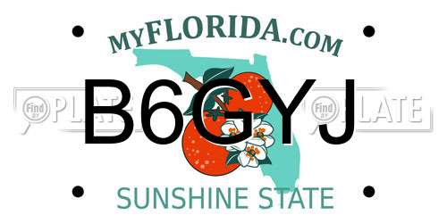 B6GYJ Florida License Plate