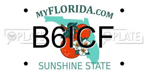 B6ICF Florida License Plate