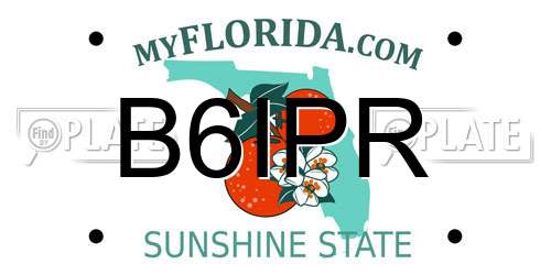 B6IPR Florida License Plate