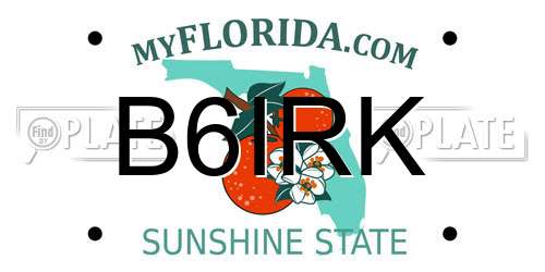 B6IRK Florida License Plate