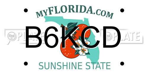 B6KCD Florida License Plate