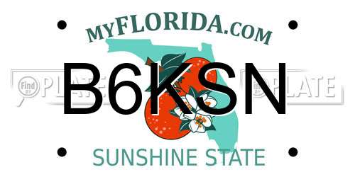 B6KSN Florida License Plate