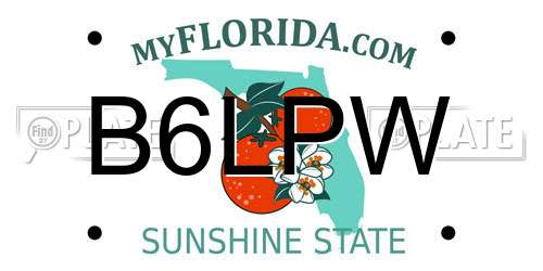 B6LPW Florida License Plate