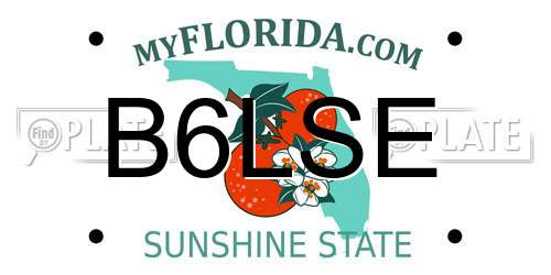 B6LSE Florida License Plate