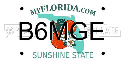 B6MGE Florida License Plate