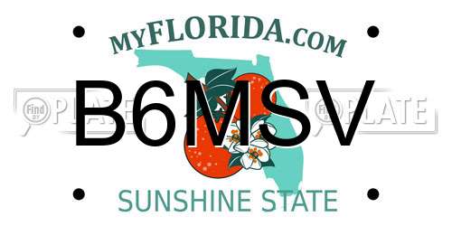 B6MSV Florida License Plate