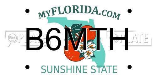 B6MTH Florida License Plate