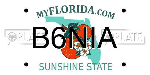 B6NIA Florida License Plate