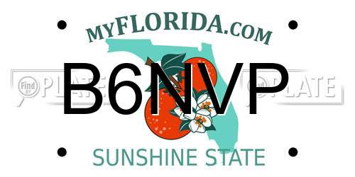 B6NVP Florida License Plate