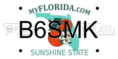B6SMK Florida License Plate