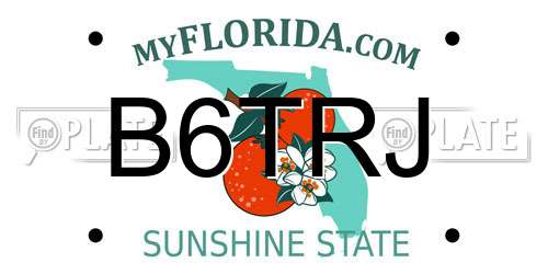 B6TRJ Florida License Plate
