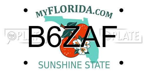 B6ZAF Florida License Plate
