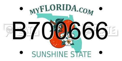B700666 Florida License Plate