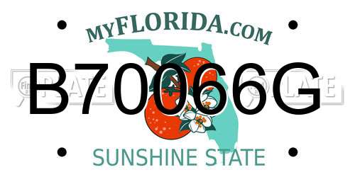 B70066G Florida License Plate