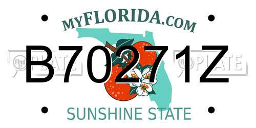 B70271Z Florida License Plate