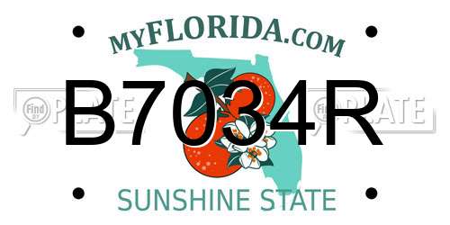 B7034R Florida License Plate