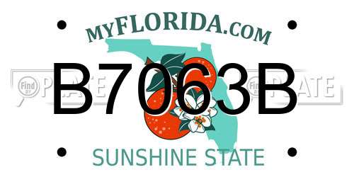 B7063B Florida License Plate