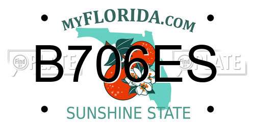 B706ES Florida License Plate