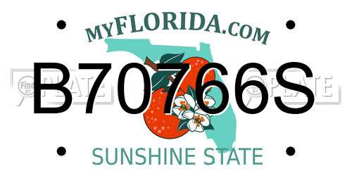 B70766S Florida License Plate