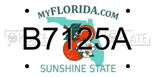 B7125A Florida License Plate