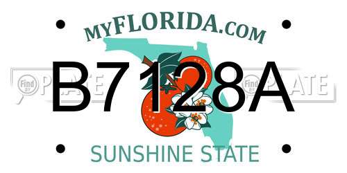 B7128A Florida License Plate