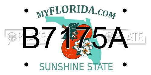 B7175A Florida License Plate