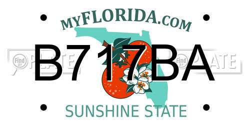 B717BA Florida License Plate