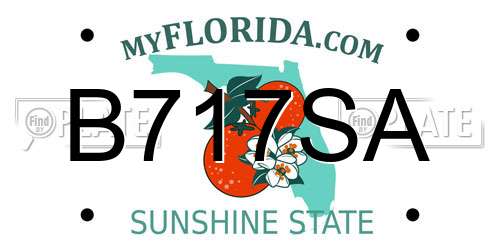 B717SA Florida License Plate