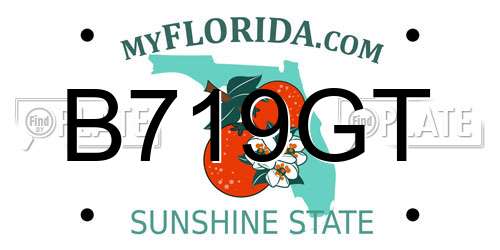 B719GT Florida License Plate