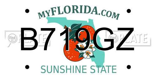 B719GZ Florida License Plate
