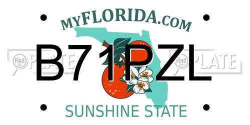 B71PZL Florida License Plate