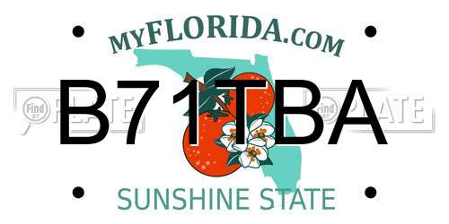 B71TBA Florida License Plate