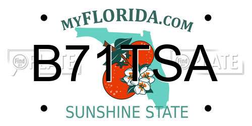 B71TSA Florida License Plate
