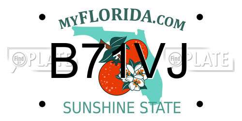 B71VJ Florida License Plate