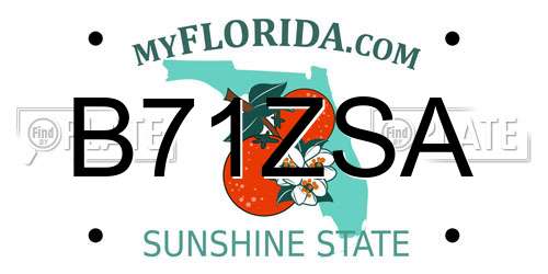 B71ZSA Florida License Plate
