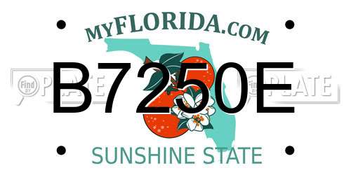 B7250E Florida License Plate