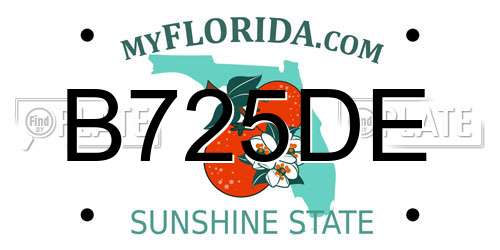 B725DE Florida License Plate