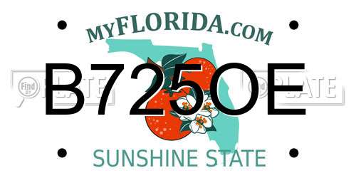 B725OE Florida License Plate