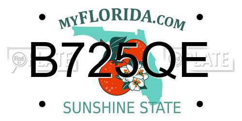 B725QE Florida License Plate