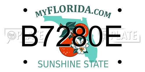 B7280E Florida License Plate