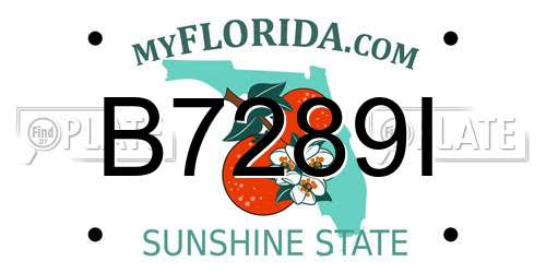 B7289I Florida License Plate