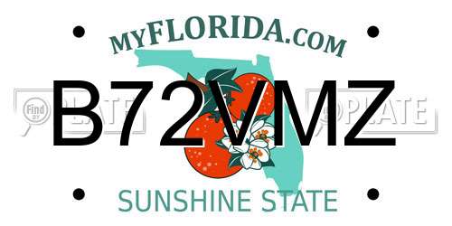 B72VMZ Florida License Plate